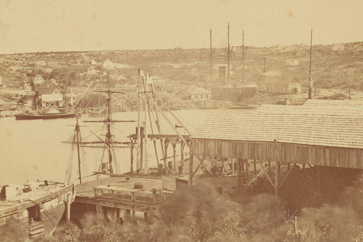 Mort's Dock Rozelle Circa 1870